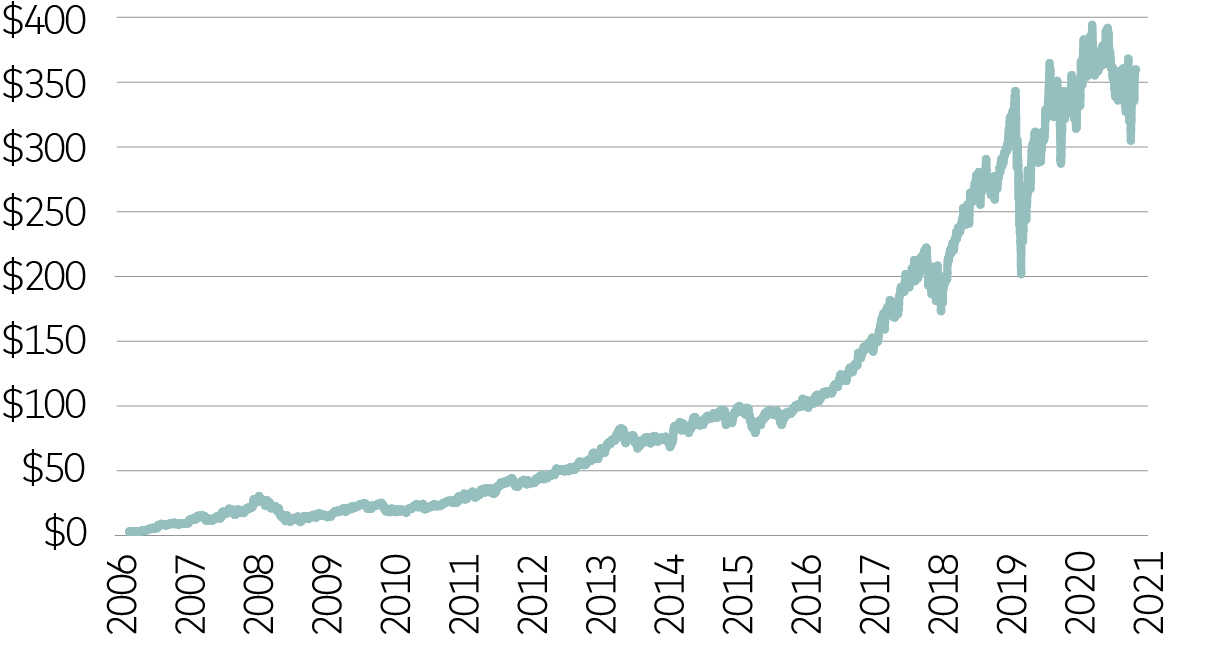 graphic_stockpricegrowthsi.jpg